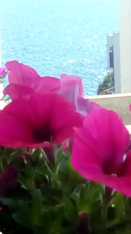 Tra Le Mura Polignano a Mare Zewnętrze zdjęcie
