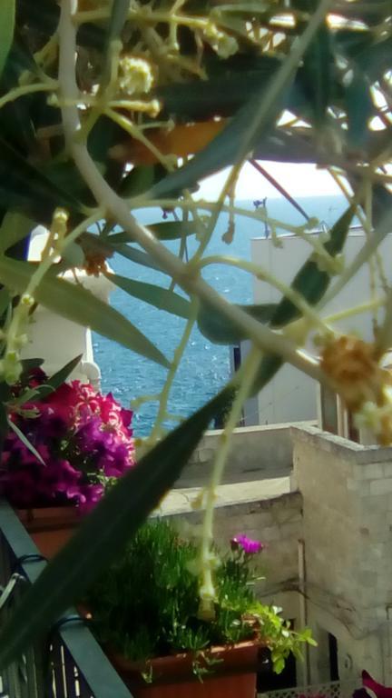 Tra Le Mura Polignano a Mare Zewnętrze zdjęcie