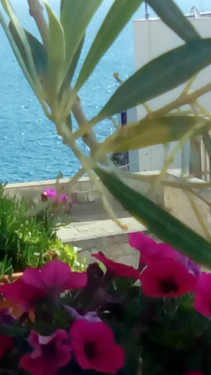 Tra Le Mura Polignano a Mare Zewnętrze zdjęcie