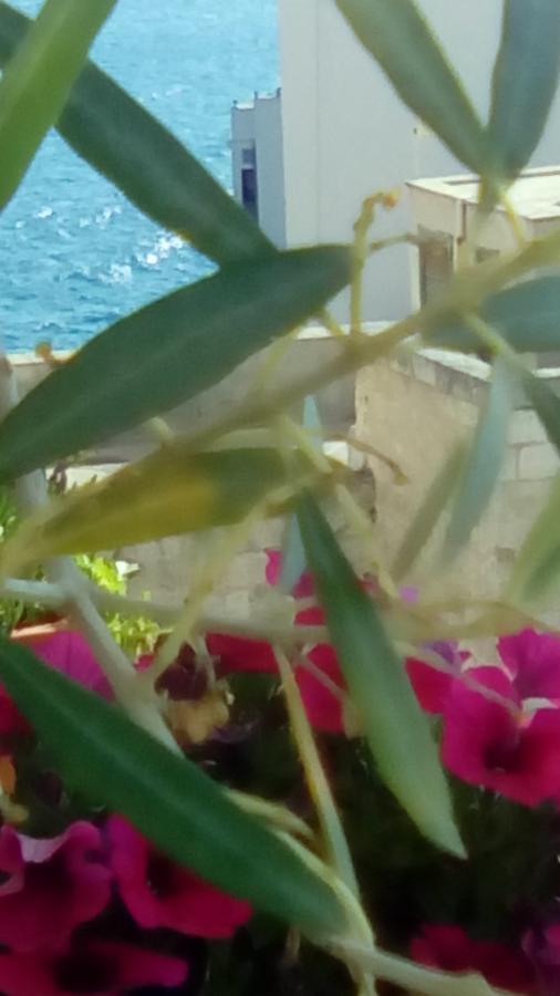 Tra Le Mura Polignano a Mare Zewnętrze zdjęcie