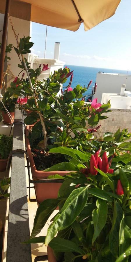 Tra Le Mura Polignano a Mare Zewnętrze zdjęcie
